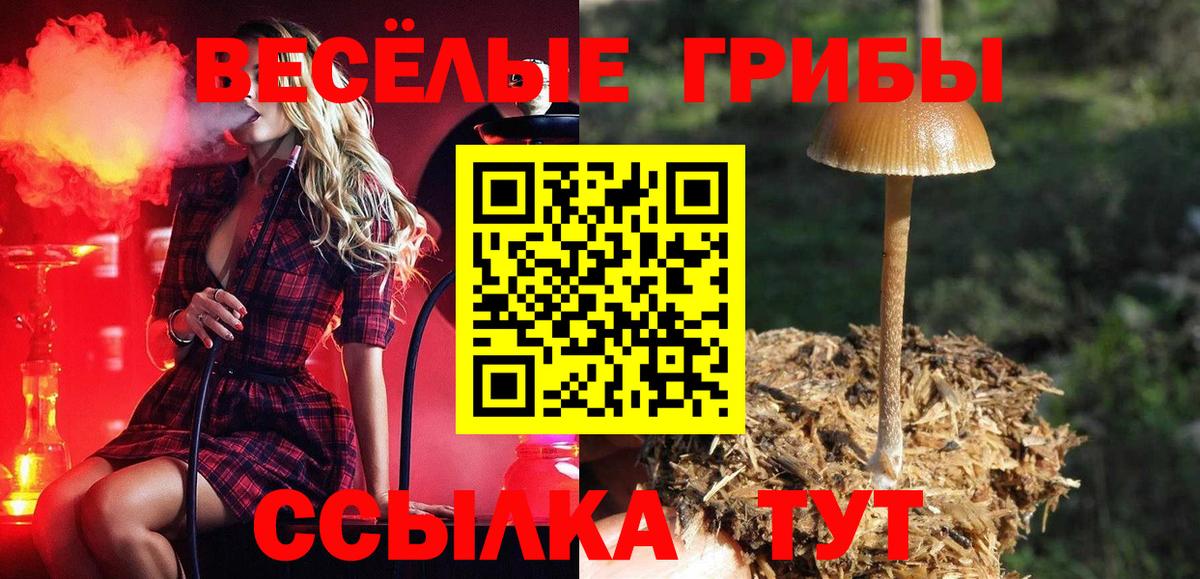 Псилоцибиновые грибы Magic Shrooms Бутурлиновка