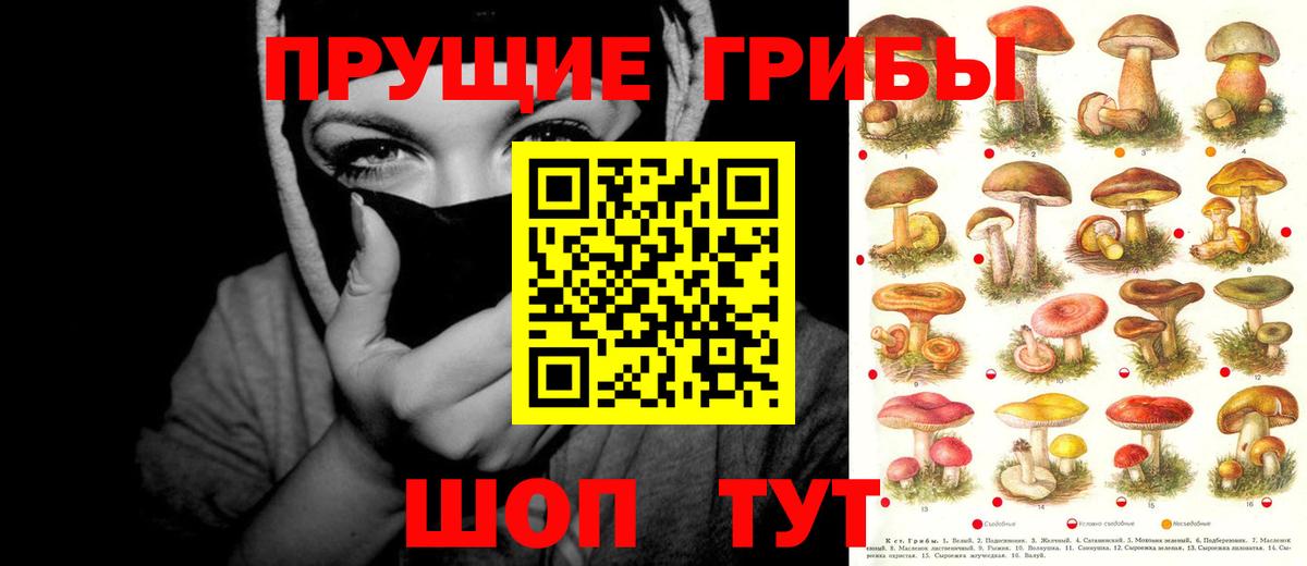 Псилоцибиновые грибы Magic Shrooms  Вход с VPN  Бутурлиновка  Псилоцибиновые грибы Psilocybe 